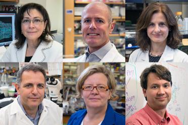 Clockwise from top left: Luisa Iruela-Arispe, Dr. S. Thomas Carmichael, Dr. Inma Cobos, William Lowry, Kathrin Plath and Bennett Novitch.