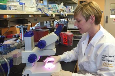 Researcher Amander Clark photographed using microscope equipment in the lab.