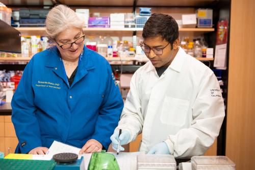 Samantha Butler and a trainee stand and look at data in a UCLA lab.