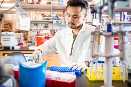 Researchers at work in a UCLA lab.