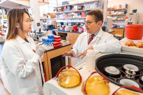 Donald Kohn and a trainee stand beside UCLA laboratory equipment and share conversation. 