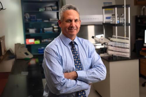 Researcher Michael Teitell smiles with crossed arms.