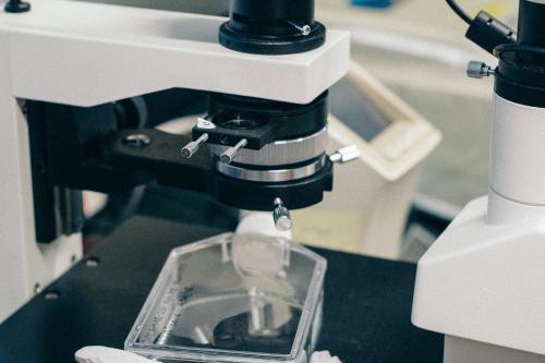 Person holding black and white microscope