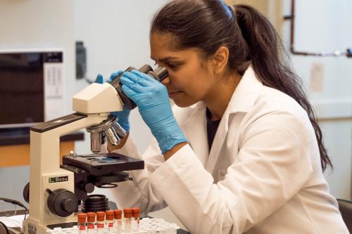 Person looking through microscope