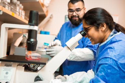 Two researchers, one looking into a microscope