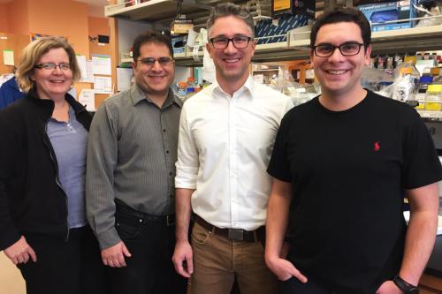 From left: senior authors Kathrin Plath and Jason Ernst and first authors Petko Fiziev and Constantinos Chronis