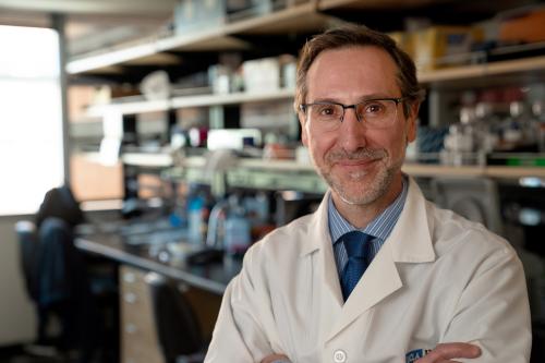 Headshot of Antoni Ribas in a lab coat with arms crossed