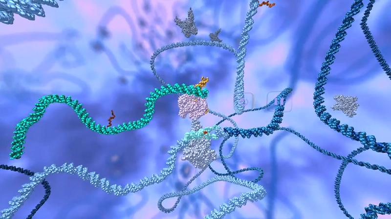 Graphic representation of CRISPR-Cas9 repairing the mutation in the gene that causes sickle cell disease (shown in light blue). 