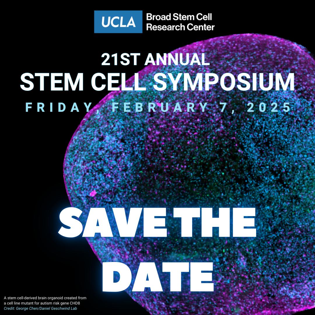 A graphic with a brain organoid cell image that reads "21st Annual Stem Cell Symposium | Friday Feb 7, 2025 | SAVE THE DATE"