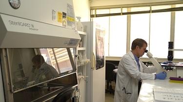 Dr. John Timmerman sits before a microscope 