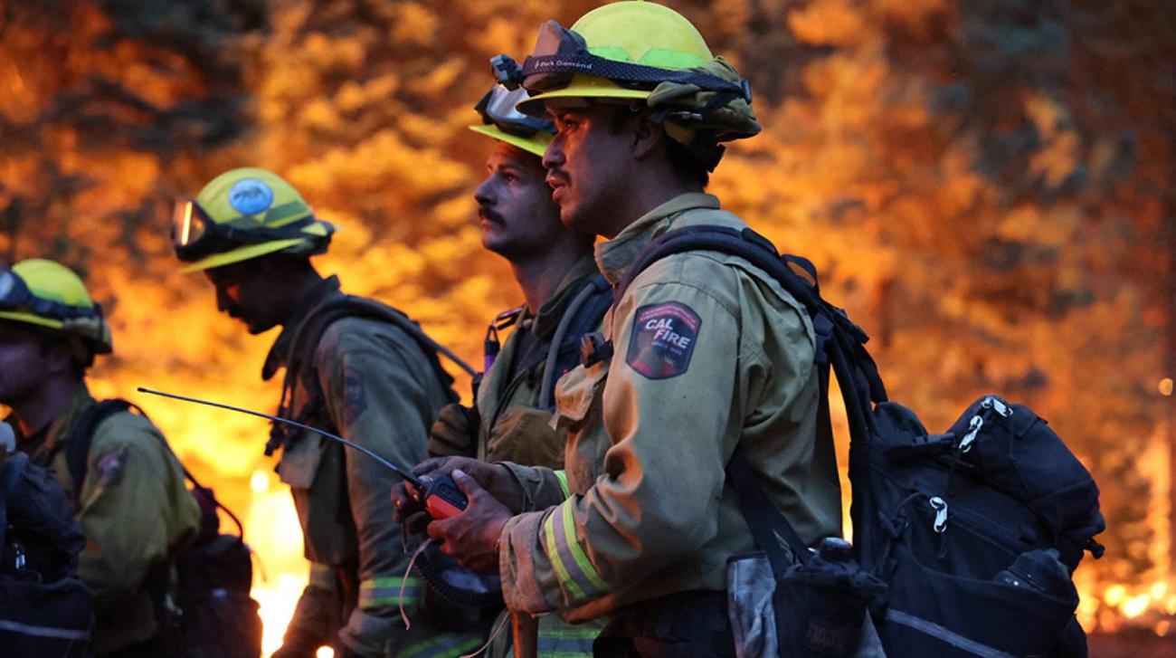 A group of firefighters stands before a blazing forest.