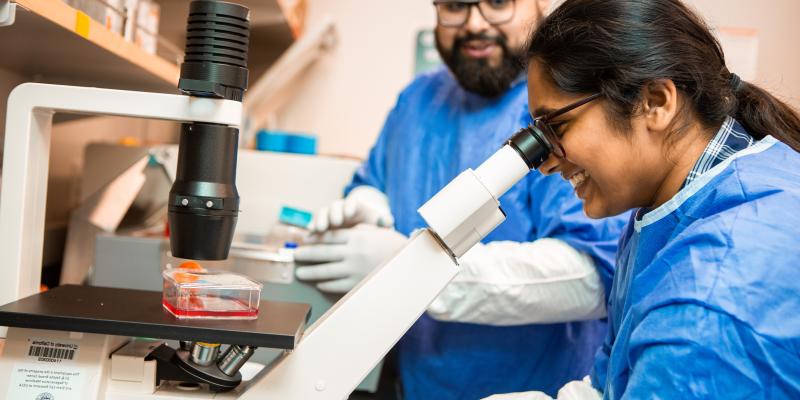 Two researchers, one looking into a microscope