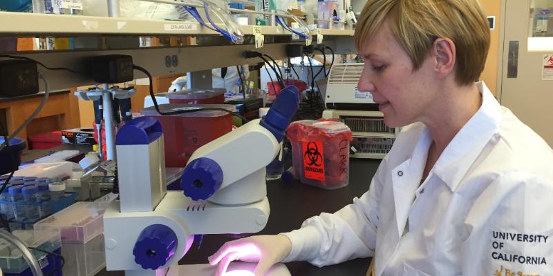 Researcher Amander Clark photographed using microscope equipment in the lab.